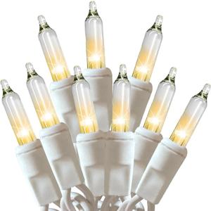HISHINY Christmas Lights 100 Count Clear Christmas Tree String Lights with White Wire for Outdoor Indoor Christmas Decorations Wedding Decorations Valentines Day Decor,UL Certified (21feet)