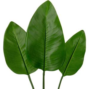DILATATA 3 Pack Artificial Bird of Paradise Leaves with Long Stem for Vase - Fake Tropical Plants Palm Leaves Realistic Banana Leaves for Home Wedding Party Decor DILATATA 3 Pack Artificial Bird of Paradise Leaves with Long Stem for Vase - Fake Tropical Plants Palm Leaves Realistic Banana Leaves for Home Wedding Party Decor