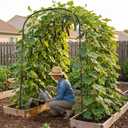 SUNYRISY Garden Arch Trellis for Climbing Plants Outdoor, 71" x 47" x 83" Metal Core Tall Archway Tunnel Plant Support for Cucumber Tomato Vine Flowers Vegetables Climbing Plants