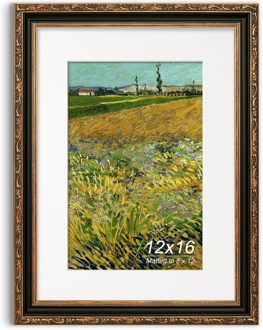 12x16 Picture Frame, Ornate Embossing Frame with Paper Mat and Plexiglass, Fit for 12x16 without Mat or 8x12 with Mat, Wall Mounting Display for Art Prints, Black and Antique Gold, 1 Pack