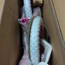 bicystar Girls Bike for Toddlers Ages 2-4 Years, 14 Inch Princess Kids Bike with Training Wheels, Sparkling Frame, Basket, Streamers, Pink Pedal Bicycle, Birthday Gift