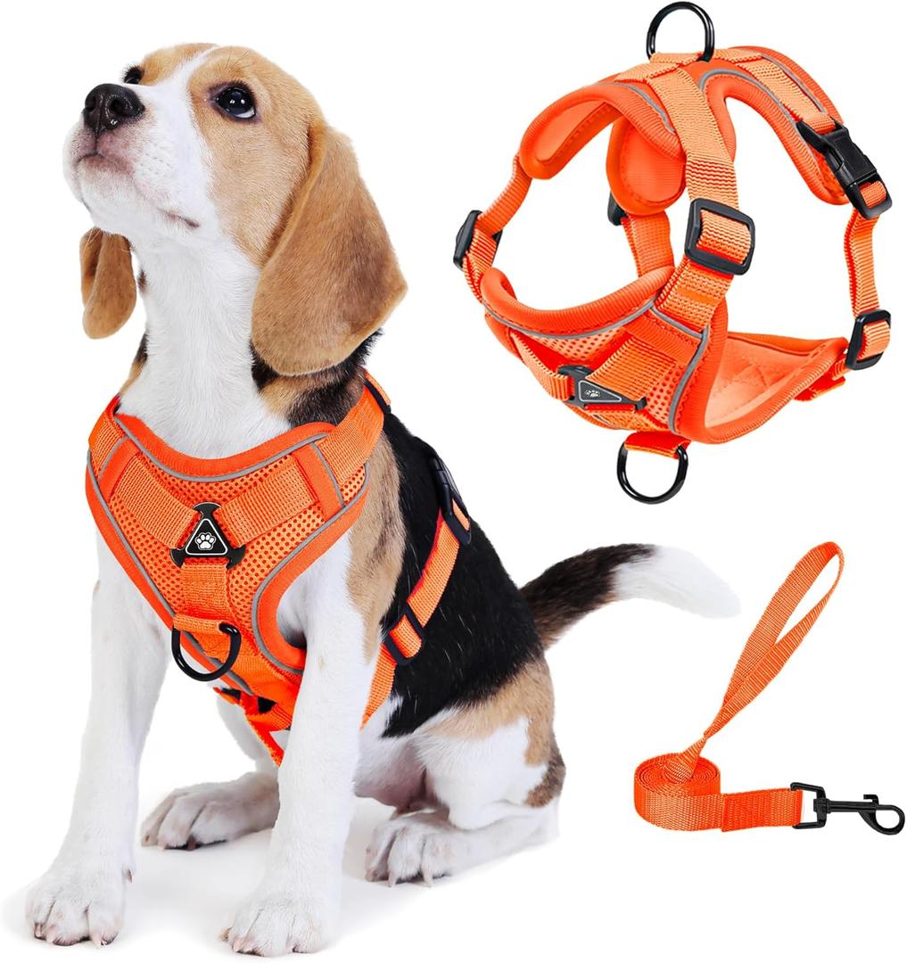 No Pull Dog Harness with Leash Set for Small Sized Dog, Reflective Adjustable No Choke Front Clip Cat Vest Harness with Breathable Mesh, Comfortable Soft Padded Pet Vest, Orange S (S (Neck 8.63-11.78'' Chest 9.42-13.35''))