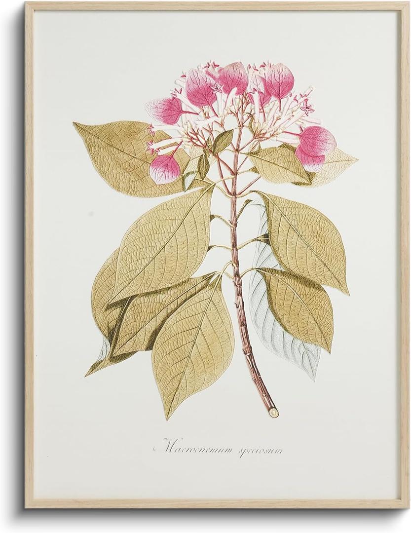 Vintage Botanical 3D Print Metal Framed Canvas Wall Art, Raised Line Detailing Pink Blooms and Leaf Illustration, 12x16 Textured Floral Nature Artwork, Living Room Bedroom Entryway Decor