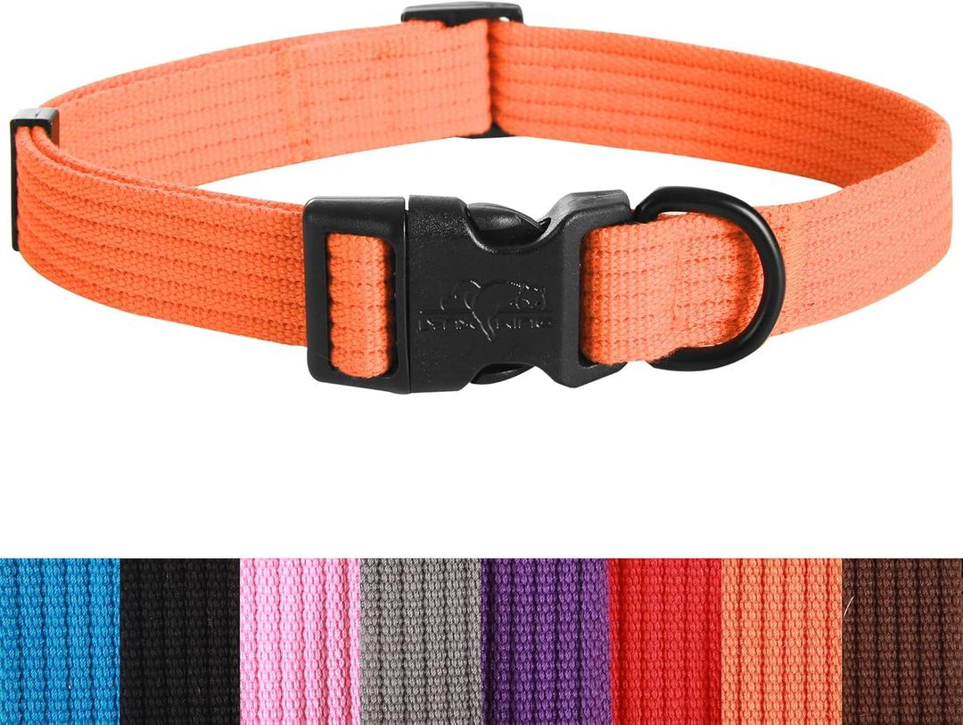 lynxking Dog Collar Soft Padded Breathable Cotton Solid Color Strong Adjustable Pet Collar for Little Puppy (Orange) lynxking Dog Collar Soft Padded Breathable Cotton Solid Color Strong Adjustable Pet Collar for Little Puppy (Orange)