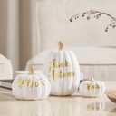 DN DECONATION 3Pcs Fall Pumpkin Decorations for Home, Faux White and Gold Words Pumpkin, Decorative Resin Pumpkins Figurines for Minimalist Modern Farmhouse Autumn Thanksgiving Fall Table Mantel Decor
