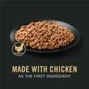 Purina Pro Plan Complete Essentials Classic Pate Dog Food, Chicken and Rice Entre - (Pack of 12) 13 oz. Cans (EXP 03/01/28)