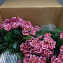 QIANYUN Artificial Topiary for Outdoors- 20 Potted Plant Fake Geraniums Bush-UV Resistant Artificial Outdoor Plant for Front Porch, Garden, Yard, Patio Decor (Dark Pink)