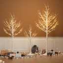 Outdoor Christmas Decorations Lighted Birch Tree Set of 3, LED Warm White 4, 6 and 8 Feet, for Indoor Christmas Decor, Party, Garden, Yard, Wedding, Holiday