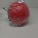 Virtually Indestructible Best Ball for Dogs, 10-inch (Large (10 in))