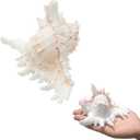 SINKOO 2PCS Conch Shell Large Natural Seashells 4-5.3 Inch Perfect for Fish Tank Wedding Decor Beach Theme Party, Home Decorations, DIY Crafts