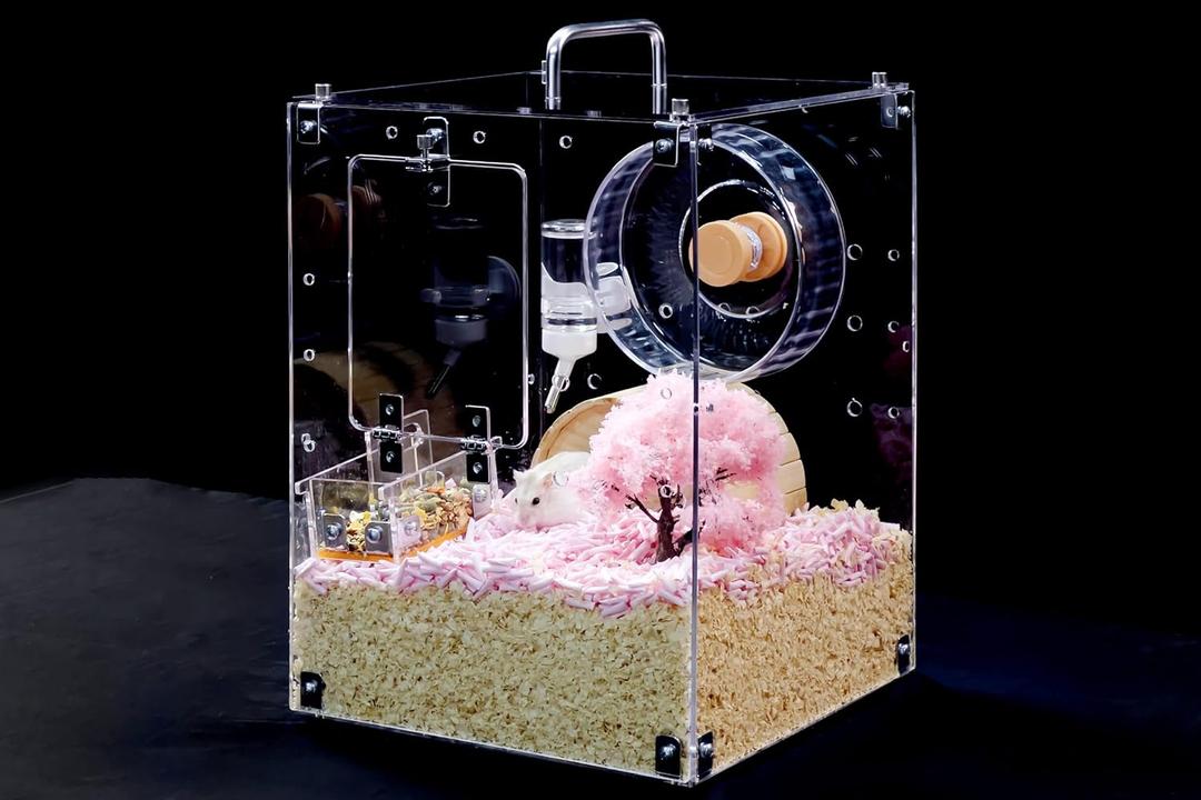 GuineaLoft Custom Acrylic Cage (Model-PT) for Hamsters, Rats, Mice, Gerbils - Crystal Clear, 1x1x1.5 ft, Custom Made, Optional Custom Name Plate, Background & Accessories - Visit the GuineaLoft Store