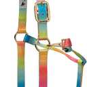 Weaver Equine Nylon Horse Halter, Comfort Double-Ply Webbing, Basic Non Adjustable Halters for Horses, Equine Tack,Average Size, Black (Small, Rainbow)