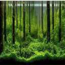 Fish Tank Background Forest Tank Aquarium Poster PVC Adhesive Underwater Forest Decoration (48" x18")