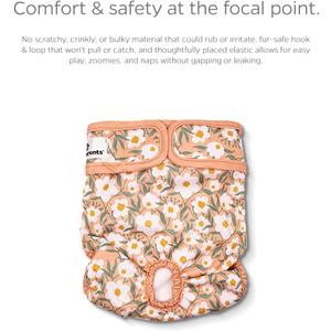 Pet Parents® Washable Dog Diapers (2pack) + Extendrs® of Durable Doggie Diapers, Premium Dog Diapers Female (X-Small, Daisy)