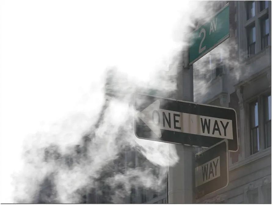 Trademark Art One Way Canvas Art by Yale Gurney, 18 by 24-Inch