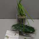 Florisso 28" Artificial Monstera Plant Tall Fake Faux Plants Indoor Outdoor Tree for Living Room Home House Decoration