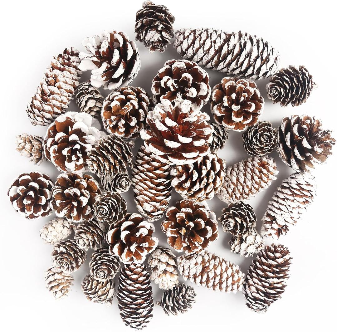 JOHOUSE 40PCS Snow Pinecones for Decorating, Natural Pine Cones for Crafts Vase Filler Christmas Tree Winter Holiday Hanging Ornaments