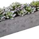 Nearly Natural Succulent Garden with Textured Concrete Planter