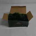 2 Pack Christmas Garland with Lights, Total 38 Feet 80 Led Lighted Pre-Lit Long Garlands for Stairs Railing Fireplace Mantle Door Battery Operated Frame Decor Green Greenery Indoor Outdoor Decorations