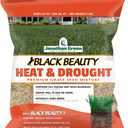 Jonathan Green (10514) Black Beauty Heat & Drought Resistant Grass Seed - Cool Season Lawn Seed (3 lb)