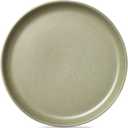 TAG Logan Salad Plate Stoneware Dishwasher Safe Sage 9.5. inch. Sage Green