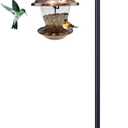 Shepherd Hooks for Outdoor, 1 Pack 62 Inch Bird Feeder Pole with 5 Prongs Base for Hanging Lantern, Hummingbird Feeder, Lightweight Plant, Shepherds Hook for Bird Feeders for Outside