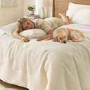Wonderful Cotton Waffle Weave Comforter Set King Size, 3 Piece Cream Textured 3D Waffle Lightweight Comforter Set, Soft & Breathable, Pet-Friendly All-Season Bedding for Hot Sleepers