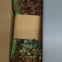 Floroom Artificial Greenery Stems Box Set, 62pcs with 7 Kinds of Faux Greenery Flowers Picks for DIY Bridal Bouquets Wedding Floral Arrangement Table Centerpieces, Terracotta & Amber