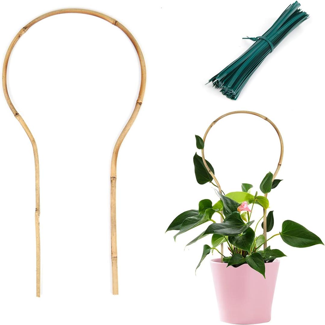 Cambaverd Plant Trellis Indoor 16in, Loop-Shaped Bamboo Trellis - 3 Pack for Climbing Plants, Hoya, Potted Plants (Loop Shaped with Twist Ties)