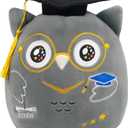 Graduation Owl Stuffed Animal: 8-Inch 2026 School Graduation Anniversary Owl Plush Toy Cute Commemorative Stuff Plushies, Kindergarten Graduation Gifts for Unniversity Middle Primary School Students