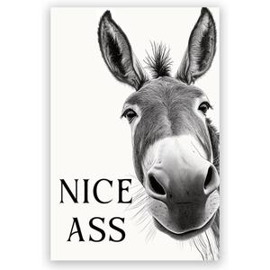 DSWEGVR Black and White Donkey Bathroom Wall Art Decor Nice Ass Funny Donkey in Bathroom Picture Poster Fun Animal Canvas Print Farmhouse Humor Wall Decor for Home Washroom Toilet 16x24inch Unframed
