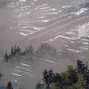 Canvas Wall Art Decor Large Wall Art for Living Room Art Work for Wall Decor White Foggy Forest Wall Art Decor Mountain Sunrise Botanical Wall Art Art Work for Home Ofiice Bedroom Wall Decor,"29x58"