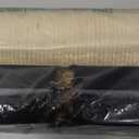 Amazon Basics Cat Scratcher - Indoor Classic Single Cat & Kittens Scratching Post, Medium (31.5"H) - Grey