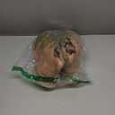 Steve Madden Womens City Soul (9.5, Almond)