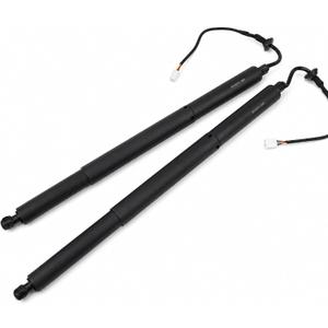 Rear Power Liftgate Struts for Toyota Highlander 2020-2024 | Electric Tailgate Hatch Lift Supports Left Right 2Pcs Replace OE 689100E070 689200E050