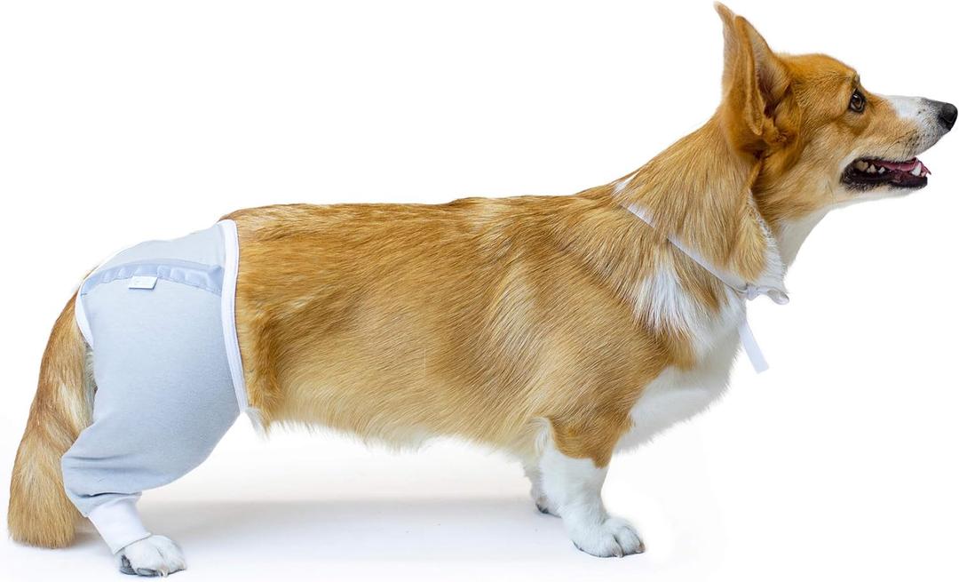 Hip and Thigh Wound Protective Sleeve for Dogs. Dog Recovery. Recommended by Vets Worldwide (Small - Short Sleeve, Gray)