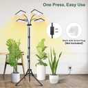 LBW Grow Light for Indoor Plants, Quad-Head Standing Plant Light, Full Spectrum, Wide Coverage, 63 Adjustable Height, Plug & Play