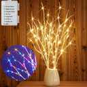 Hairui Lighted Birch Branches Battery Operated 70L 18IN Warm White and Multi Color Fairy Lights 8 Function for Halloween Home Christmas Decor