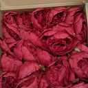 50Pcs Artificial Peonies Flowers Bulk, 4 Burgundy Peonies Fake Flowers Heads for Table, Faux Silk Peony Arrangements for Wedding, Valentine, Engagement, Office, Coffee, Dining Decorations