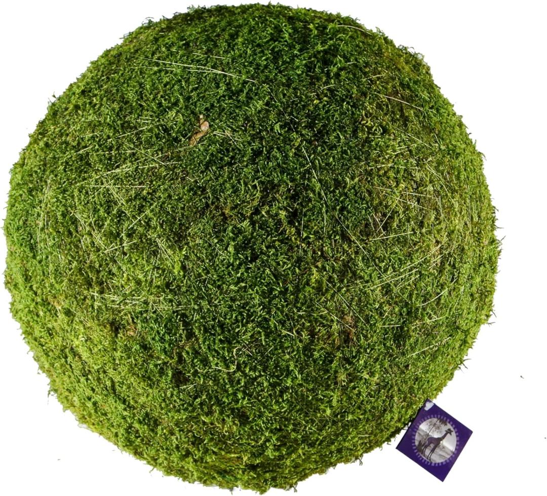 SuperMoss (21775) Preserved Moss Ball  Natural Green Decor for Home, Weddings & Events  Vase Fillers & Centerpieces, 12, Fresh Green