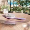 2 x NewSea Detangling Brush  Anti-Static, Flexible Bristles for Wet & Dry Hair, Eco-Friendly, Purple, for Straight & Wavy Hair