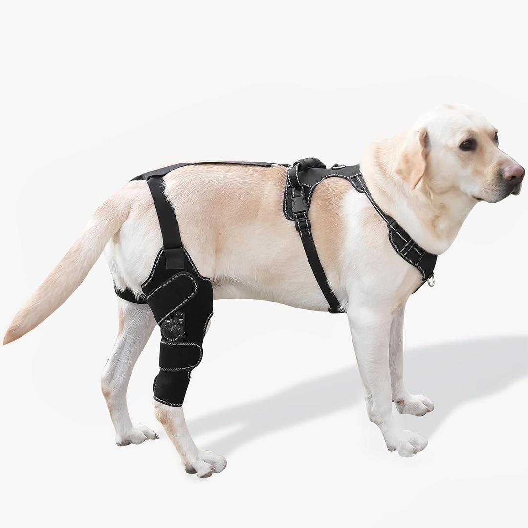 Dog Knee Brace with Adjustable Support ACL & CCL Tear Recovery, Post-Surgery Stabilization, Mobility Aid for Rear Legs Includes Secure Chest Harness for Dogs(Right, L)