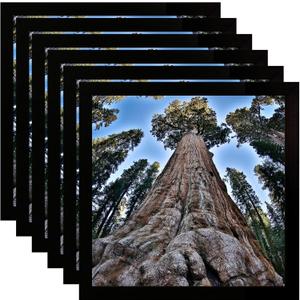 YYTRABAJO 6x6 Square Picture Frame Black Photo Frames Display for Wall and Tabletop, Set of 6