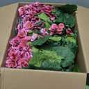 Artificial Topiary for Outdoors 18 Geranium Flower Ball, Outdoor Topiary Artificial Plant for Front Door, Garden, Yard, Patio(2, Pink)