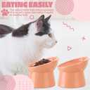 Zhehao 2 Pieces Plastic Raised Bowl Tilted 15 Degrees Elevated Cat Food and Water Bowls Set Anti Vomit Dog Kitten Food Dishes Pet for Cats and Small Dogs (Cat Ears,Peach)