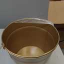 Gold Metal Bucket/Pots with PVC Liner, Ideal Gift for Floral Arrangements Wedding Home Office Party DIY Indoor Outdoor Garden Patio 5" Dia x 5" H