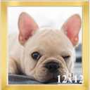 RUN HELIX 12x12 Picture Frame, Wall Gallery Photo Frames,Stable and Sturdy Gold Frame with High Definition Plexiglass,12x12 Poster Photo Frame,Horizontal and Vertical Formats for Wall Hanging, Gold