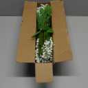 12 Bundles Artificial Flowers for Outdoors Summer Decor, Realistic UV Resistant Fake Plants Faux Plastic Flowers for Outside Planter Home Gardens Patio Porch Yards Spring Cemetery Decor(White)