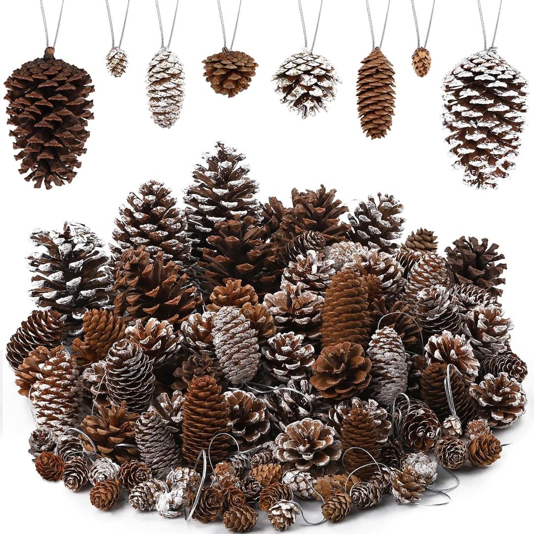 Fovths 66 Pieces Christmas Pine Cones Ornaments with String Natural Rustic Pine Cones Bulk Assorted Sizes Xmas Tree Hanging Pinecone Decoration for Christmas Tree Crafts DIY Gift Party