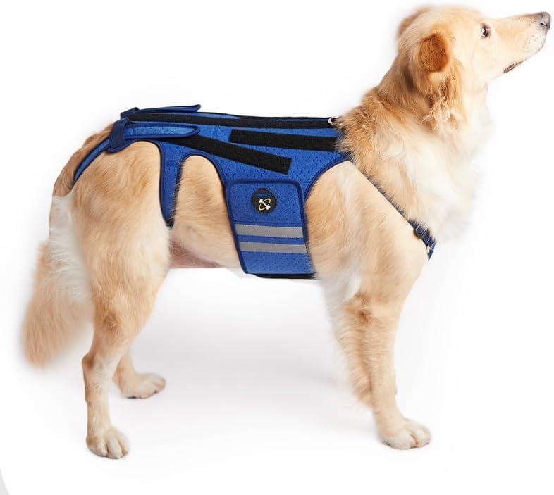 Coodeo Dog Back Brace for Dogs Arthritis, Pet Back Bracer for IVDD, Back Protector Helps Pain Relief, Surgical Recovery and Rehabilitation, Dogs Back Disease Prevention. (Blue,Medium)